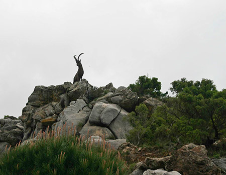 mirador-de-juanar